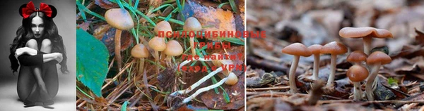 альфа пвп VHQ Пестово