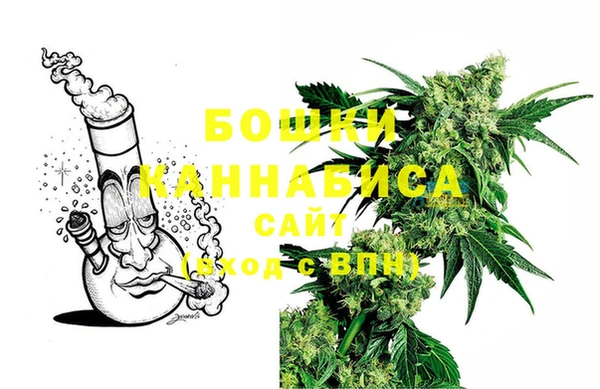 эйфоретик Пересвет
