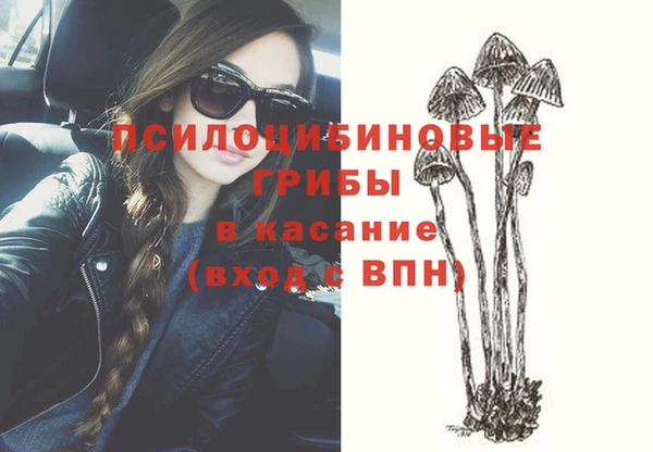 ешки Покровск