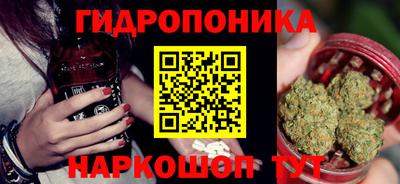 индика Апшеронск