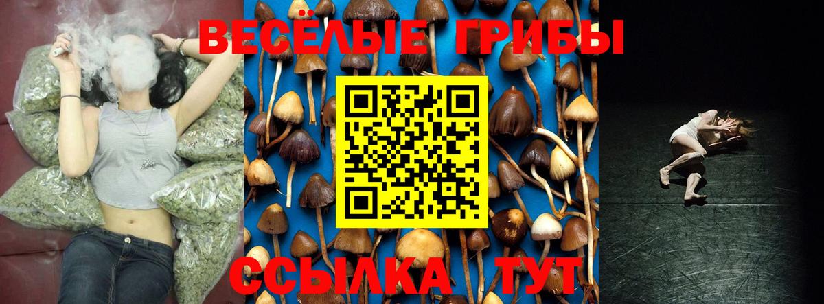 Псилоцибиновые грибы мухоморы  Вход с VPN  Галлюциногенные грибы Psilocybe  Березники 